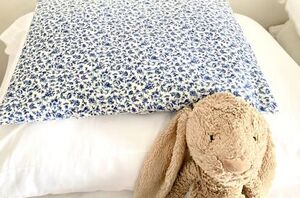 This pillow is no ordinary pillow (the secret ingredient is inside of it)