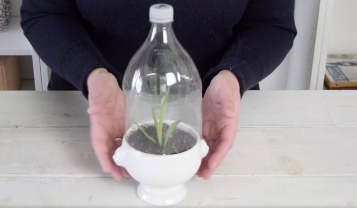 How to repurpose plastic bottles