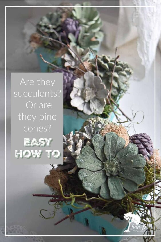 easy diy pine cone succulents