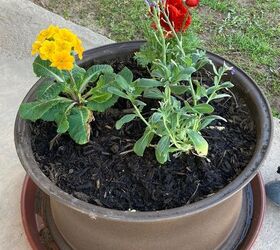 from tire rims to spring planters