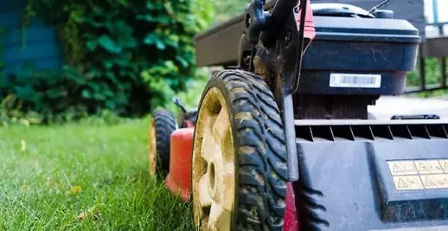 the 7 best lawn mowers of 2022, riding lawn mower sitting on grass photo via Wet Forget