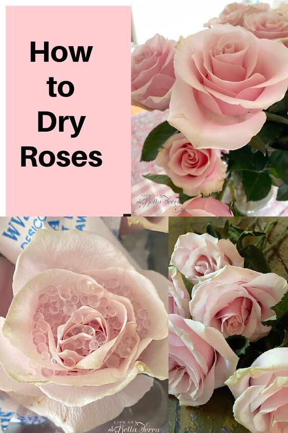 cmo secar rosas