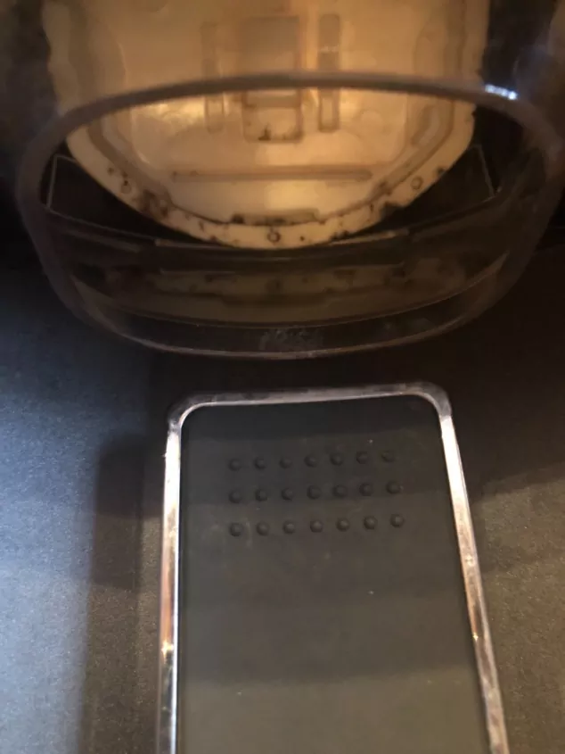 how to get rid of mold