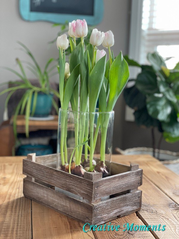 aged tulip crate