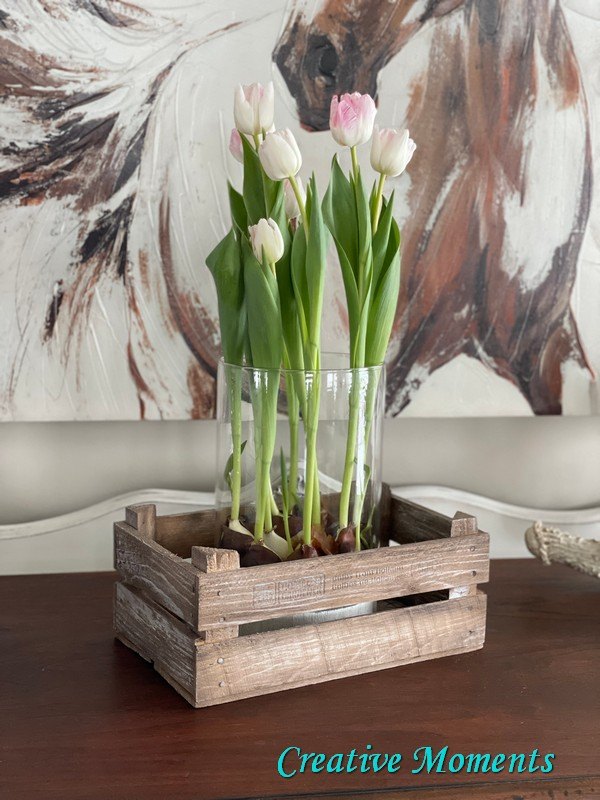 caixa de tulipas envelhecidas