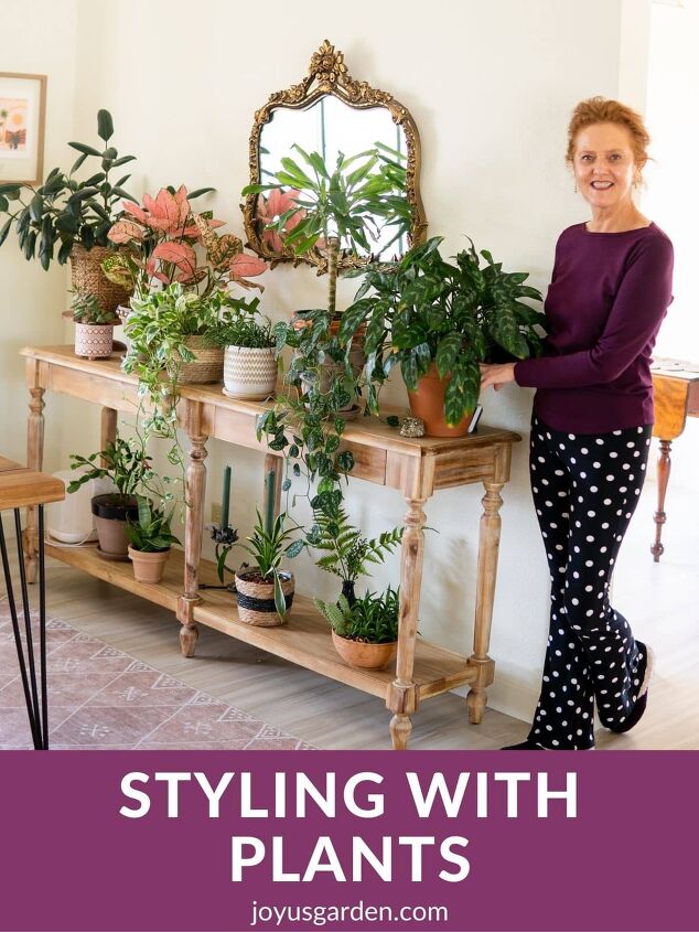decorating with indoor plants how to style plants on a table