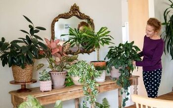DECORATING WITH INDOOR PLANTS: HOW TO STYLE PLANTS ON A TABLE