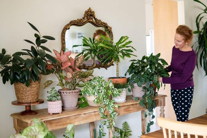 decorar con plantas de interior cmo colocar las plantas en una mesa