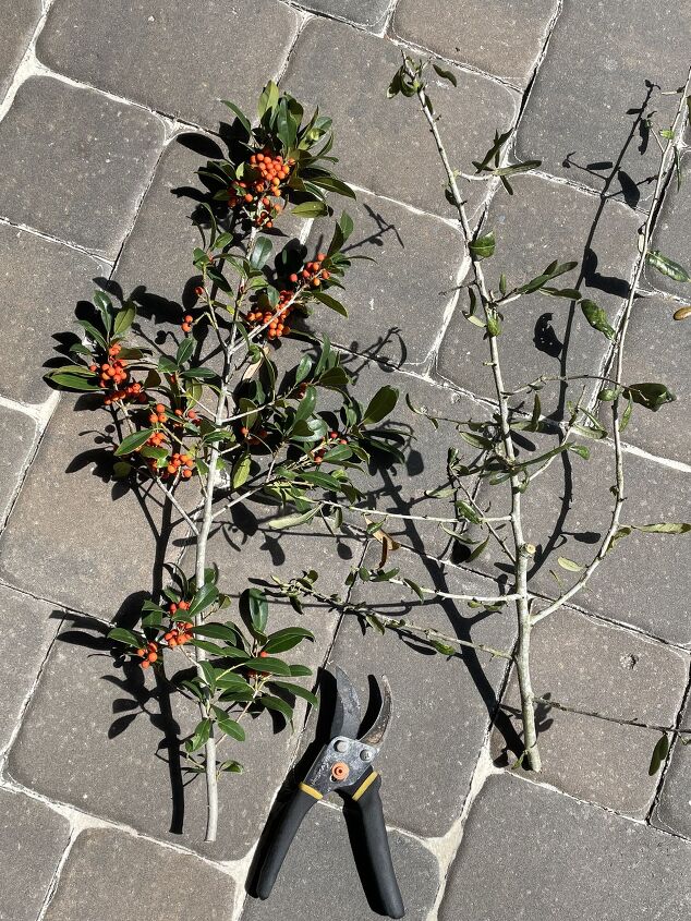 duplicado del topiario de olivos de magnolia home
