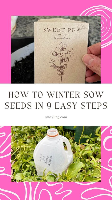 como semear sementes de inverno ao ar livre em 9 etapas fceis