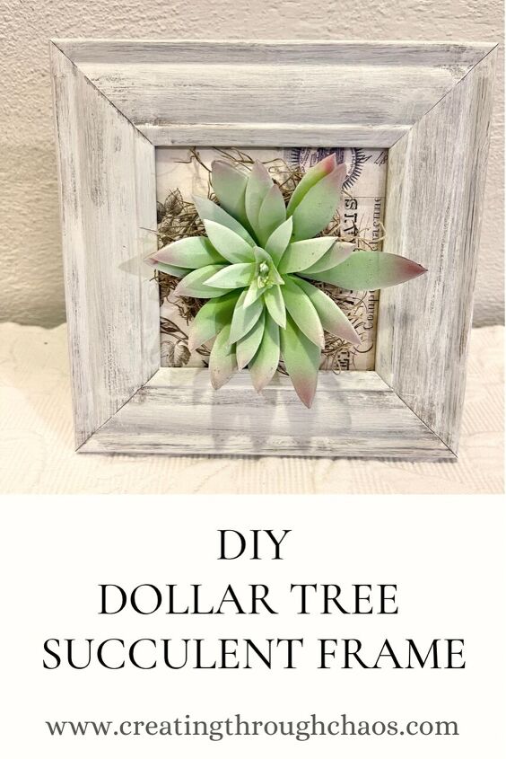 dollar tree succulent frame