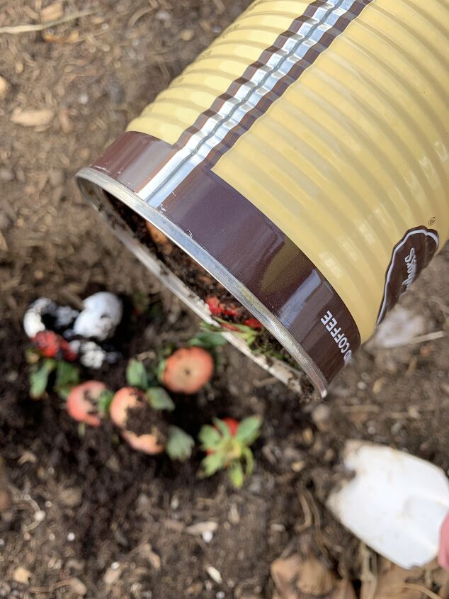 el mini bote de compost crea un suelo rico para los parterres de primavera fcil