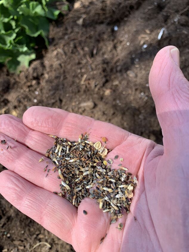 el mini bote de compost crea un suelo rico para los parterres de primavera fcil