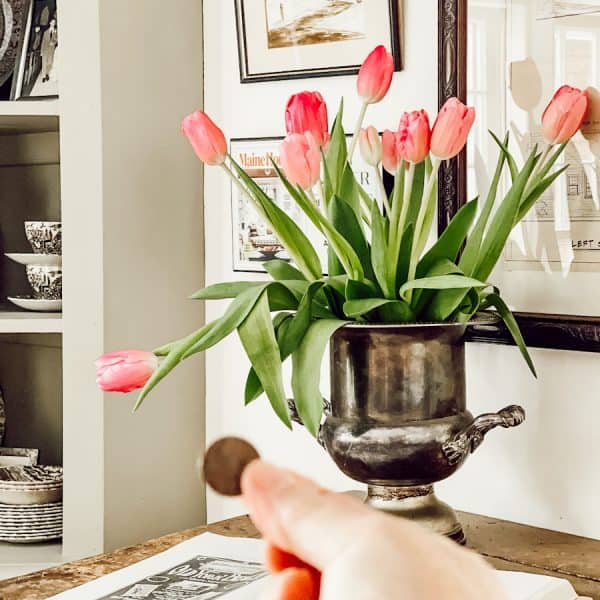 cmo un centavo puede evitar que los tulipanes se caigan
