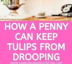 how a penny can keep tulips from drooping