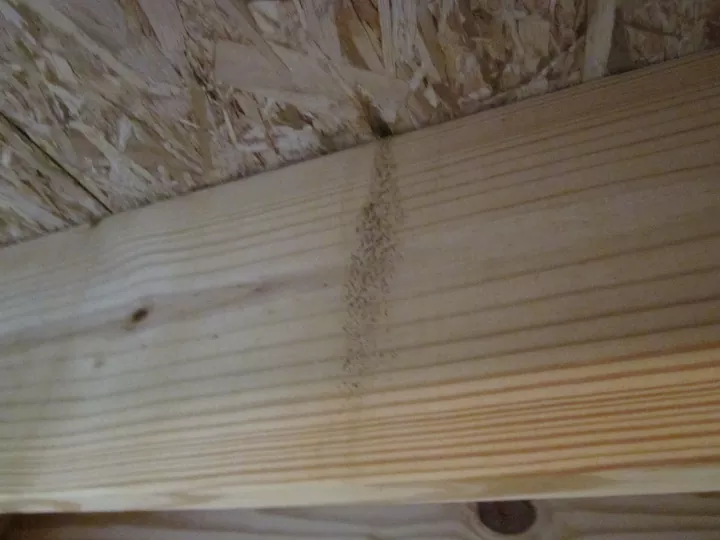 how to get rid of termites naturally and effectively, termite hole through basement s wood ceiling