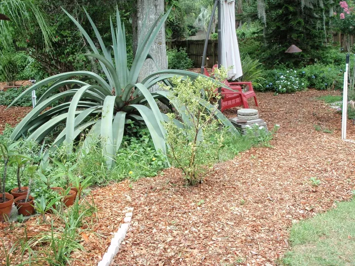 how to get rid of termites naturally and effectively, mulch garden walkway with various plants