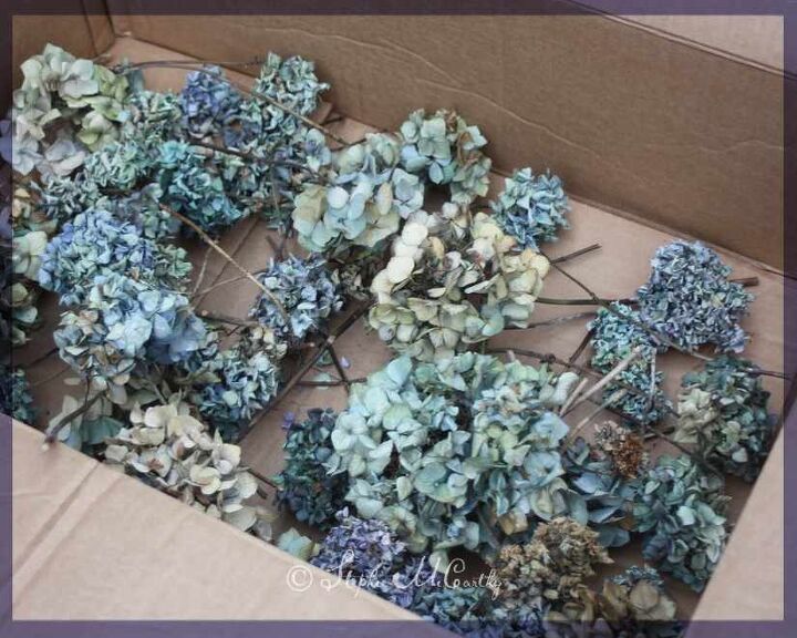 make a topiary from a one dollar christmas tree, Natural blue dried hydrangea
