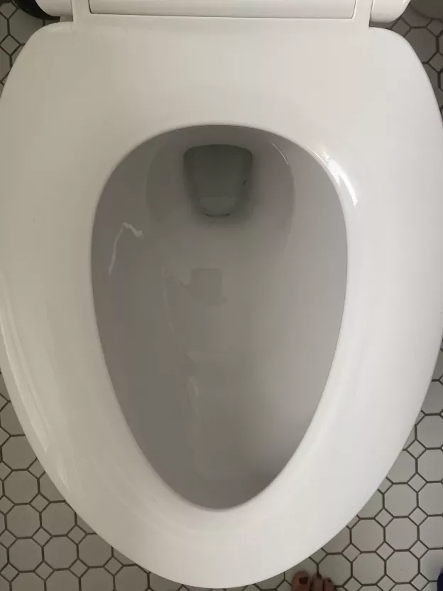 how to replace a toilet seat quickly and easily, overhead shot of toilet seat and toilet bowl