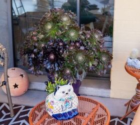patio makeover potted plant arrangement ideas, That s my beautiful Aeonium in the background The cute Talavera kitty planter was a housewarming gift from my real estate agent