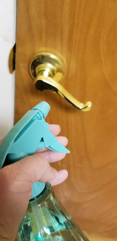 how to keep spiders away while sleeping, person spraying blue spray bottle near door