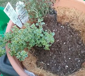 how to reuse potting soil, container garden filled with potting soil and plants