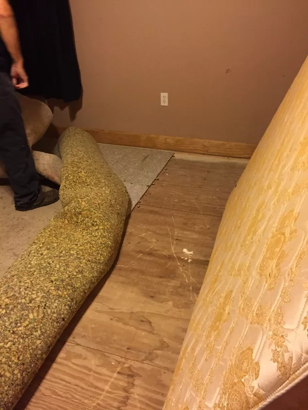 como rasgar o tapete, uma pessoa rasgando o tapete e a almofada do tapete