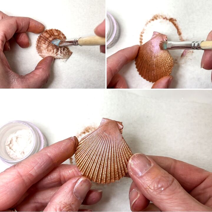 sea shells resin ocean display