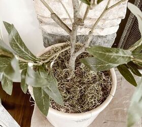 how to style a faux olive tree, You can see the Spanish moss on top of the crock here
