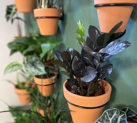 DIY Indoor Living Plant Wall - A Life Unfolding