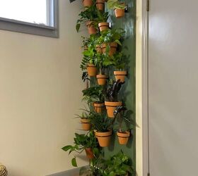 DIY Indoor Living Plant Wall