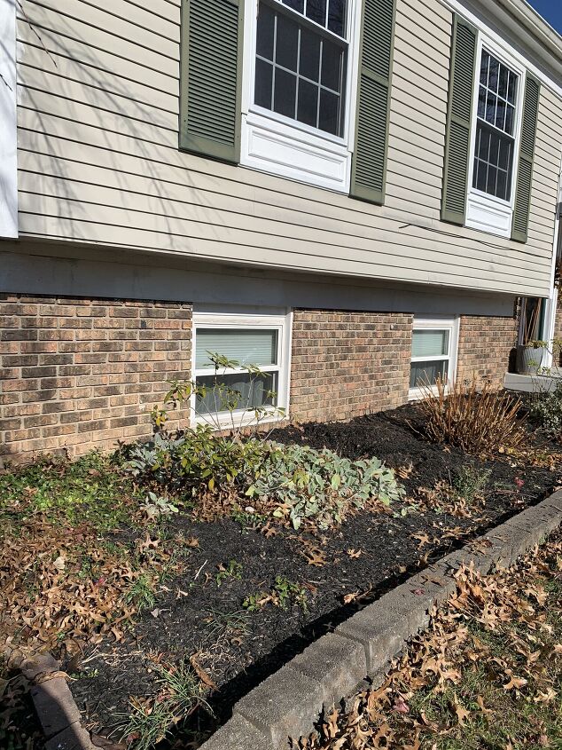 low maintenance front yard landscaping