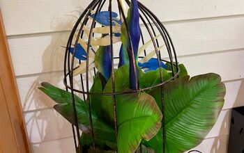 Caged Bird’s of Paradise