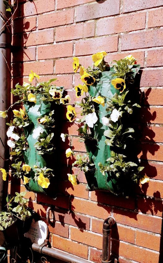 jardinera de pared fcil de hacer hermosos pensamientos durante todo el mes de mayo