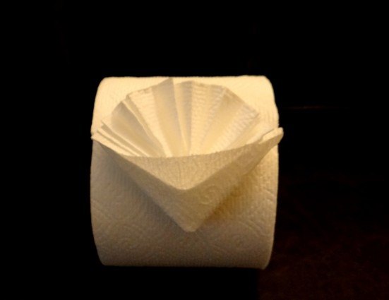 how to pretty up your toilet rolls with toilet paper origami