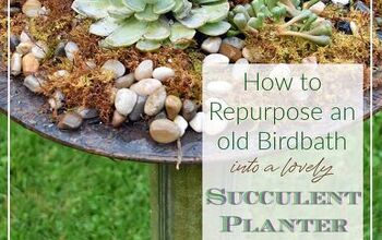 Cómo plantar suculentas en una vieja bañera para pájaros