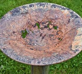 She uses an old birdbath to add something beautiful to her backyard