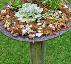 How to Plant Succulents in an Old Birdbath