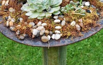How to Plant Succulents in an Old Birdbath