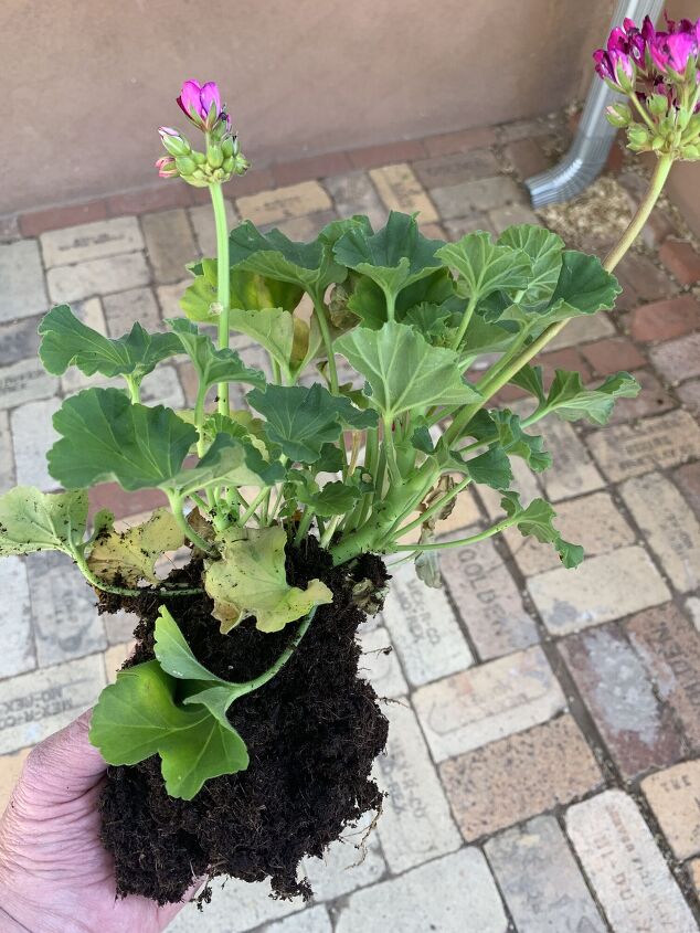 jardinera de ventana diy sin soportes sin clavos sin tornillos mgico