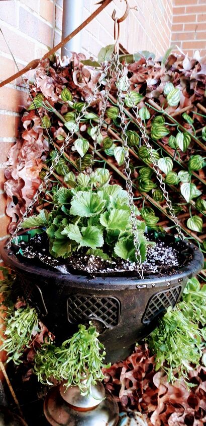 planting hanging baskets for our queens platinum jubilee