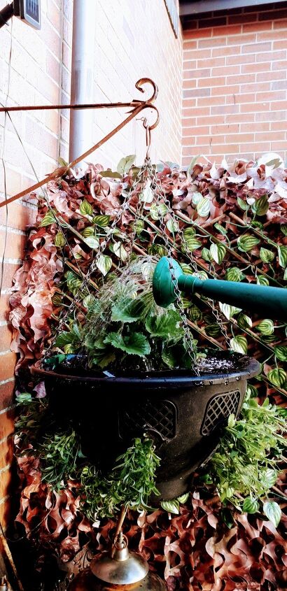 planting hanging baskets for our queens platinum jubilee