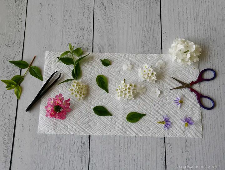molduras para fotos de flores prensadas para o dia das mes