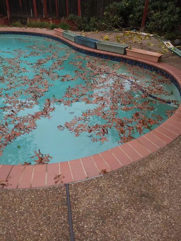 cmo aspirar una piscina de forma manual y eficaz, piscina sucia y llena de hojas