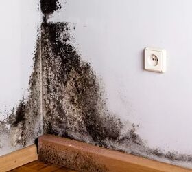 How to Get Rid of Musty Smells in a Basement for Good