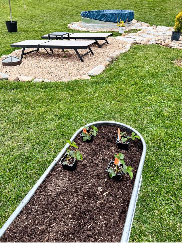 diy raised garden beds, Planning out where to plant the plants