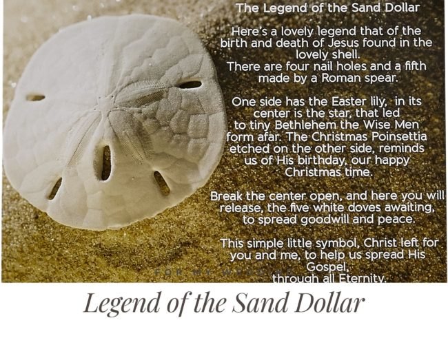 la leyenda del dlar de arena tazn de masa de concha con temtica de verano