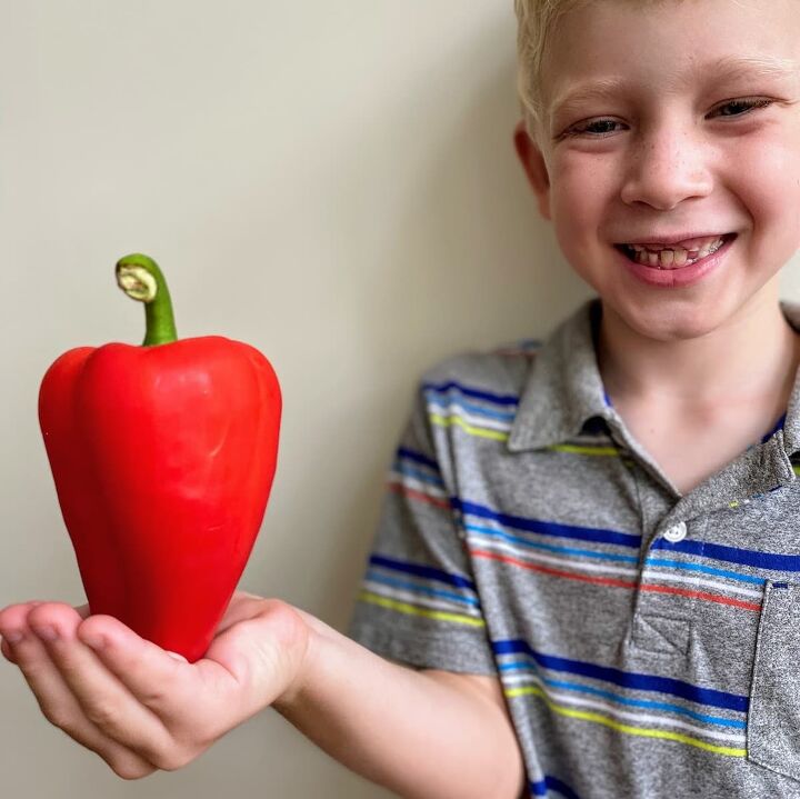 peppers art for kids