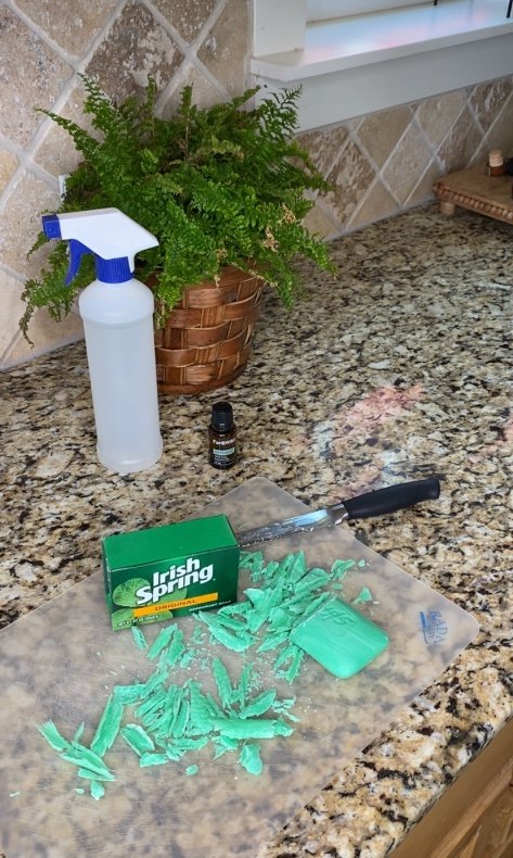 Best Non Toxic Homemade Fly Repellent