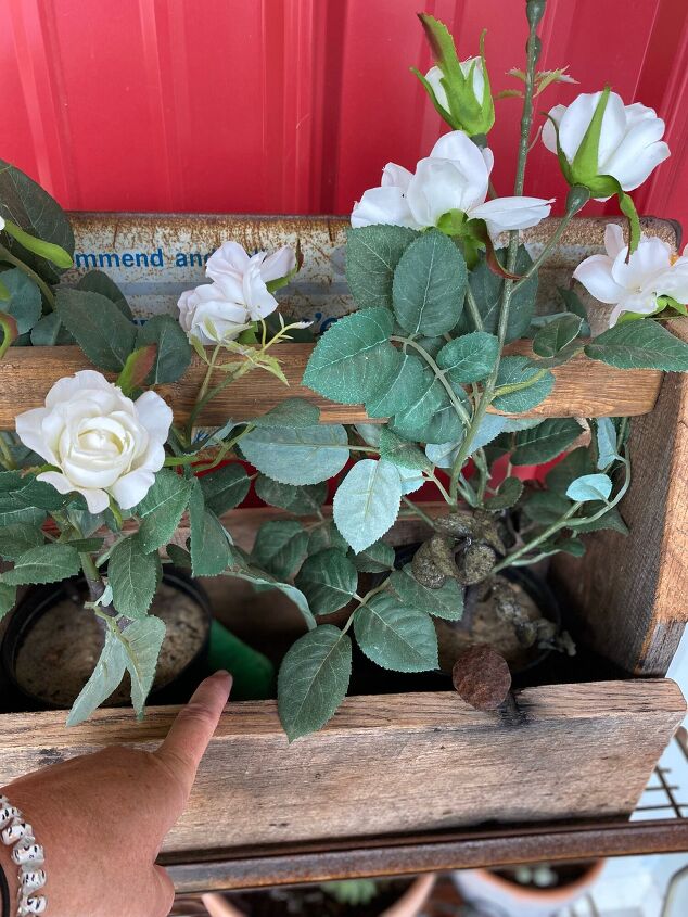 goodbye spiders flies